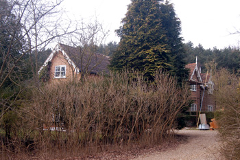 17 and 19 Stratford Road March 2010